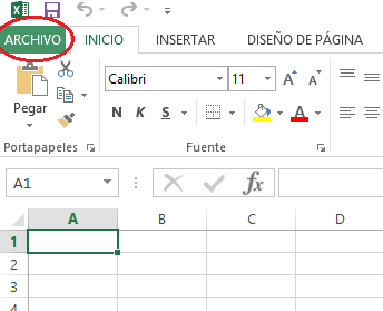 ARCHIVO Ficha Desarrollador en Excel